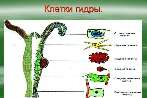 Как попасть на сайт мега мориарти